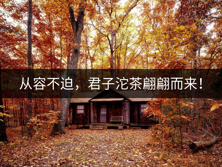 從容不迫，君子沱茶翩翩而來！