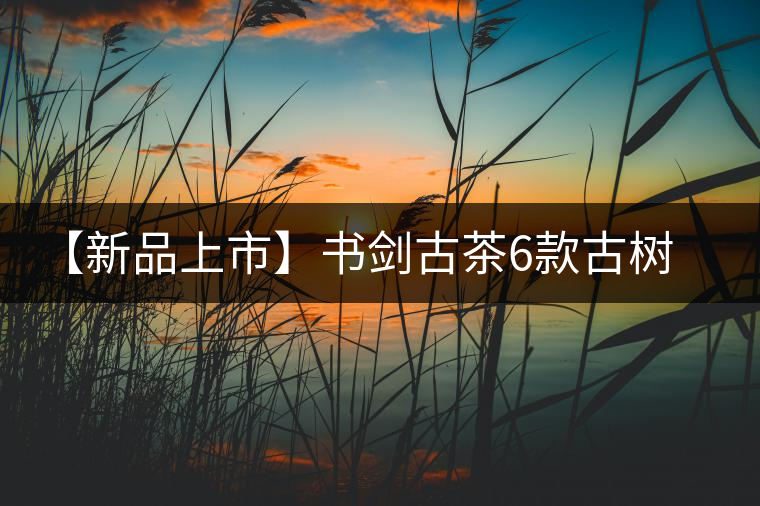 【新品上市】書劍古茶6款古樹早春茶重磅來襲！