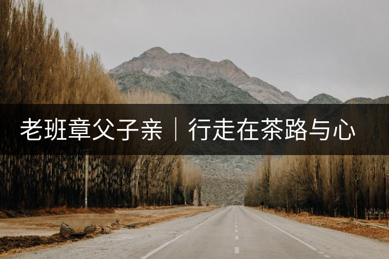 老班章父子親｜行走在茶路與心路上，訴說濃濃父子情