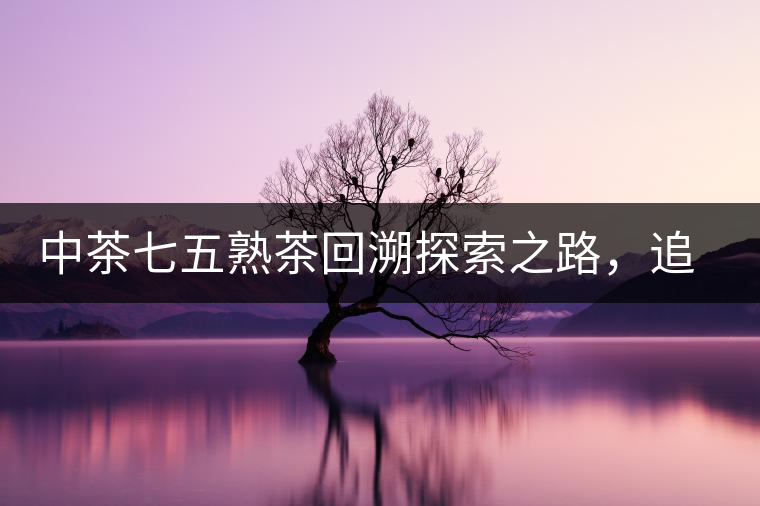 中茶七五熟茶回溯探索之路，追尋歷史印跡