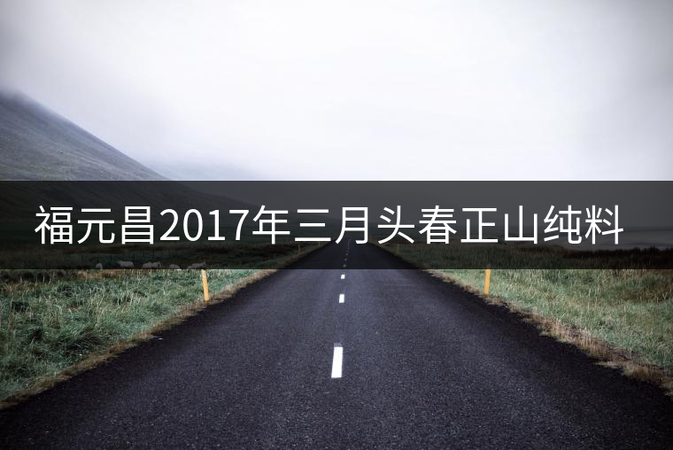 福元昌2017年三月頭春正山純料357克餅即將上市