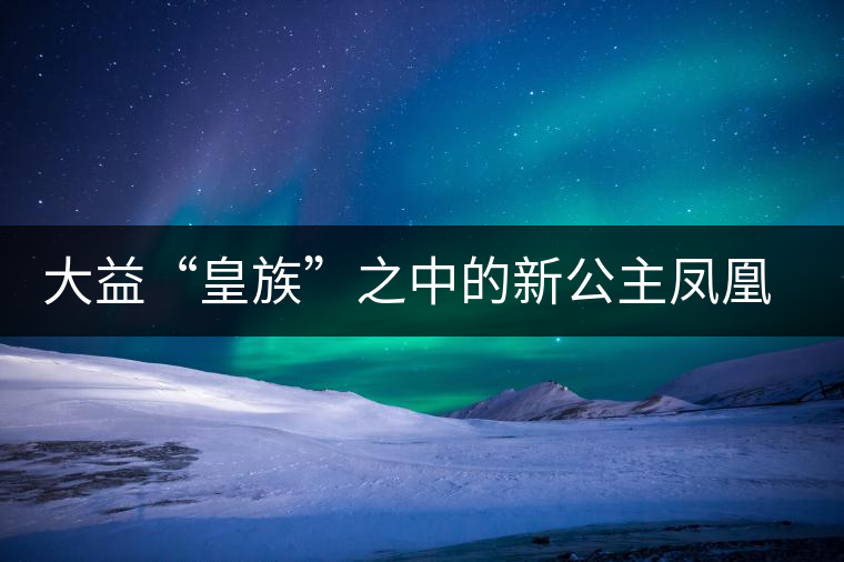 大益“皇族”之中的新公主鳳凰格格甜美來襲