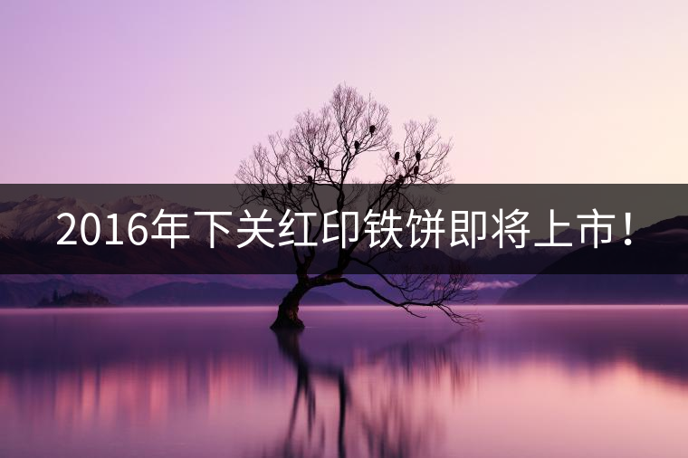 2016年下關(guān)紅印鐵餅即將上市！
