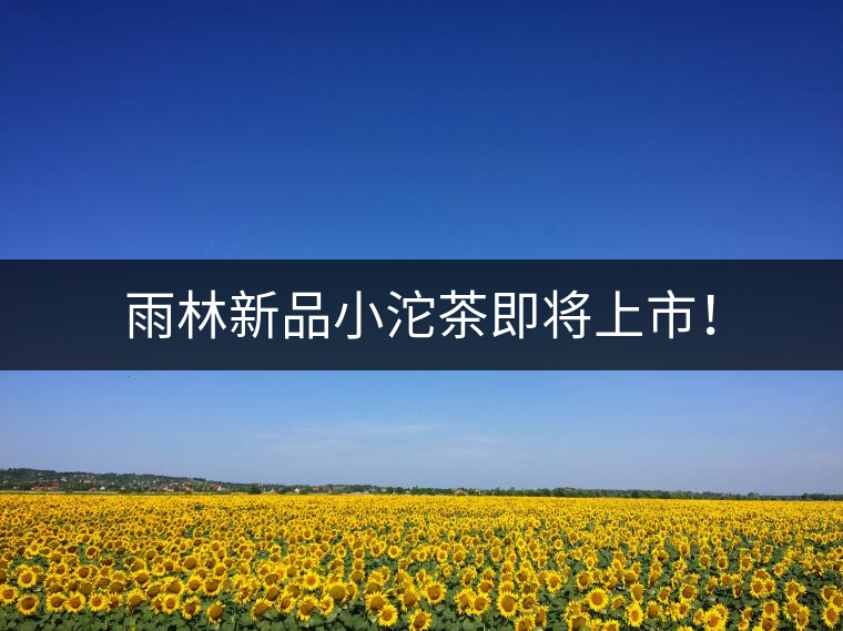 雨林新品小沱茶即將上市！