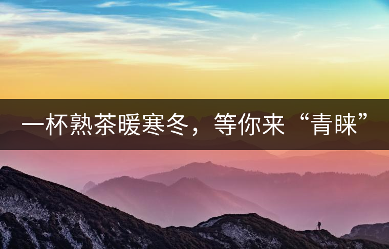 一杯熟茶暖寒冬，等你來(lái)“青睞”