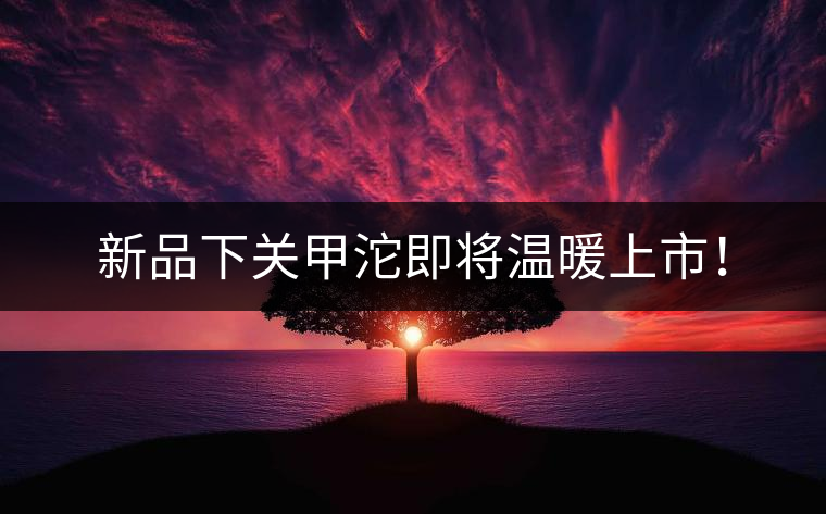 新品下關(guān)甲沱即將溫暖上市！