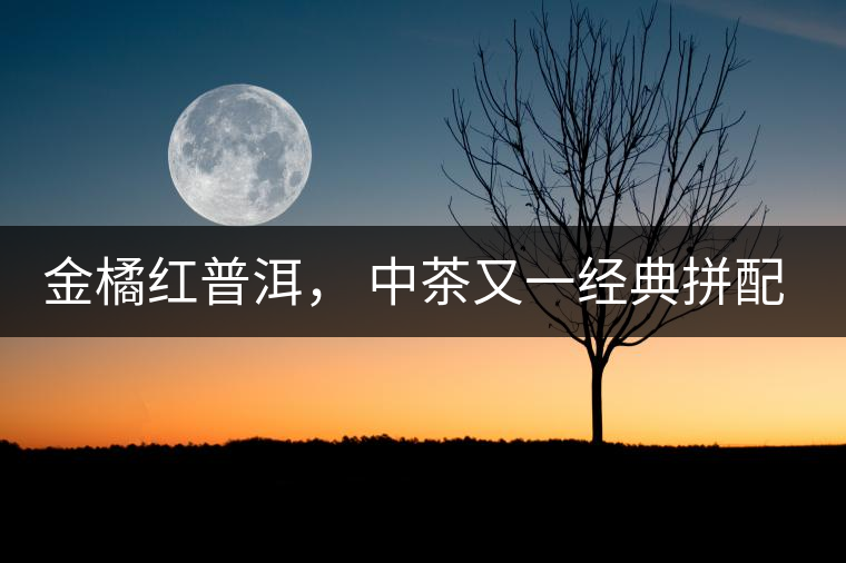 金橘紅普洱， 中茶又一經(jīng)典拼配力作，值得期待！