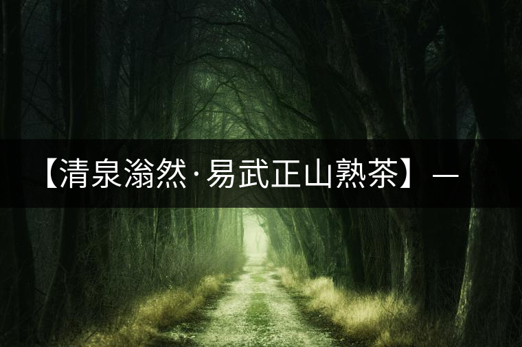 【清泉滃然·易武正山熟茶】——熨帖冬季的寒冷，來的正是時候！