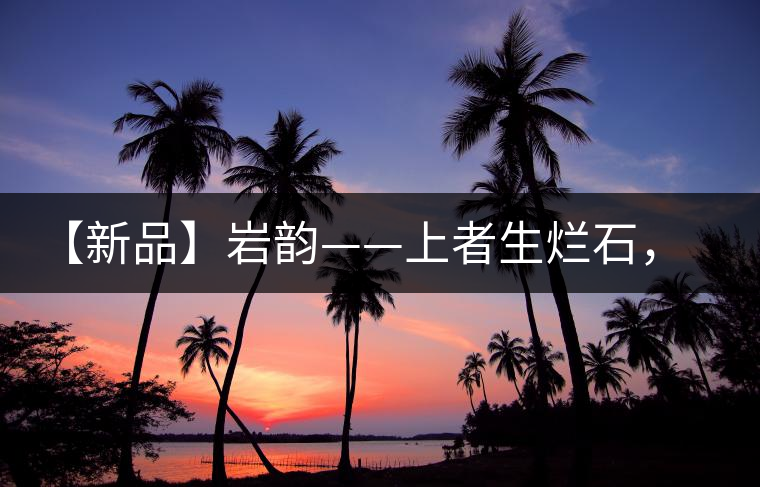 【新品】巖韻——上者生爛石，巖骨茶韻自天成