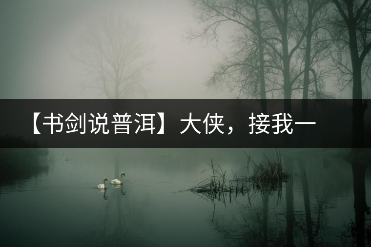 【書劍說(shuō)普洱】大俠，接我一棒