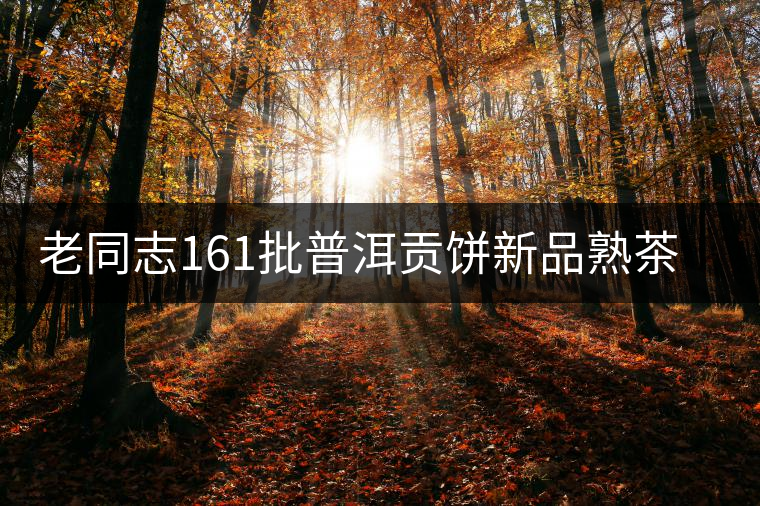 老同志161批普洱貢餅新品熟茶上市