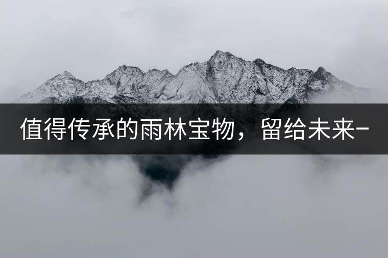值得傳承的雨林寶物，留給未來(lái)一點(diǎn)“回甘”！