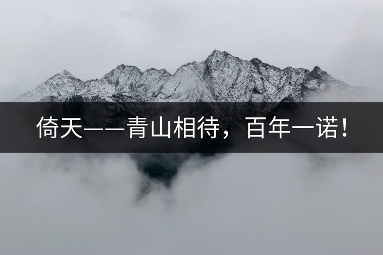 倚天——青山相待，百年一諾！