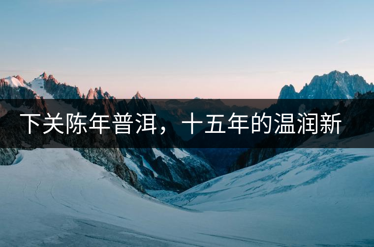 下關(guān)陳年普洱，十五年的溫潤(rùn)新生