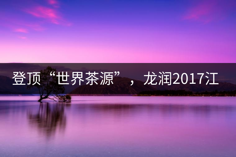 登頂“世界茶源”，龍潤2017江城茶上市啦！