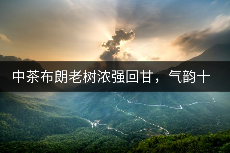 中茶布朗老樹(shù)濃強(qiáng)回甘，氣韻十足