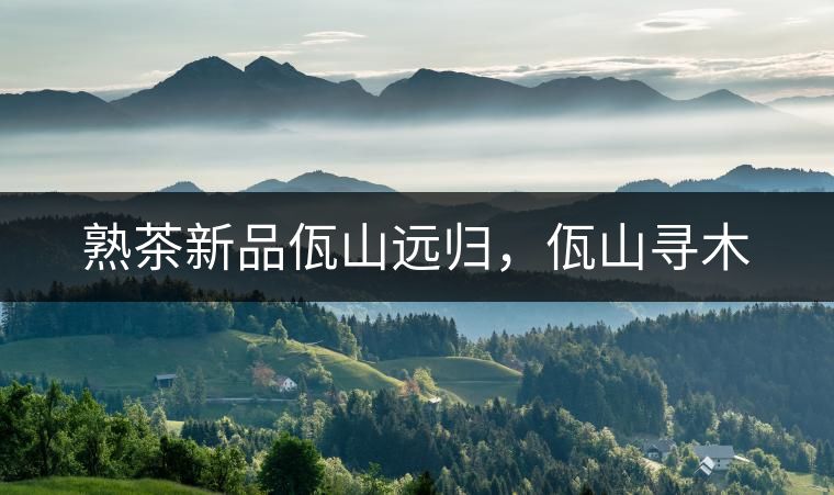 熟茶新品佤山遠(yuǎn)歸，佤山尋木