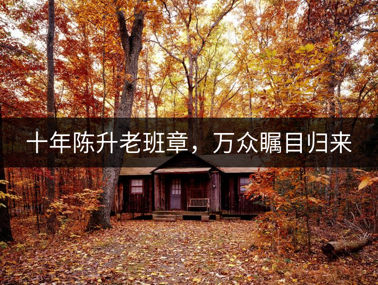 十年陳升老班章，萬眾矚目歸來