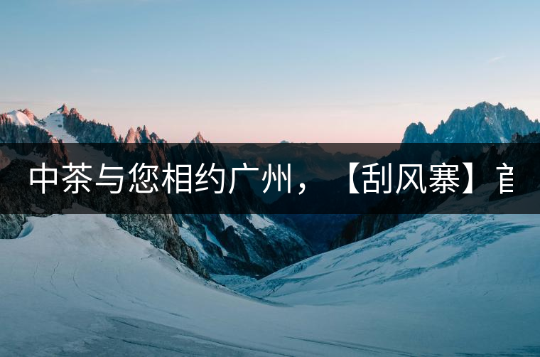 中茶與您相約廣州，【刮風(fēng)寨】首次亮相！