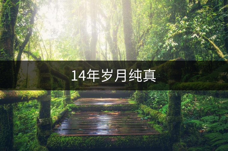 14年歲月純真