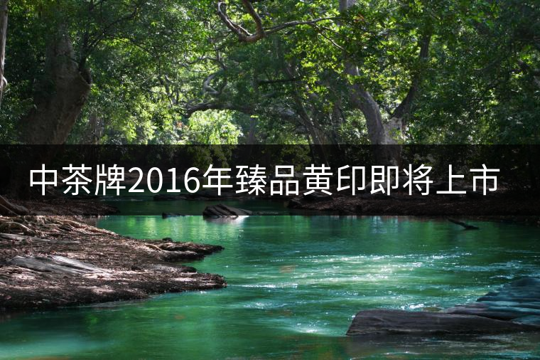 中茶牌2016年臻品黃印即將上市！