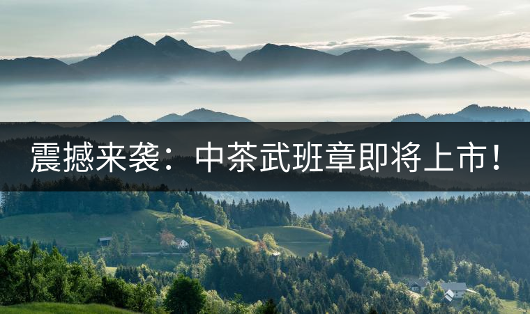 震撼來襲：中茶武班章即將上市！