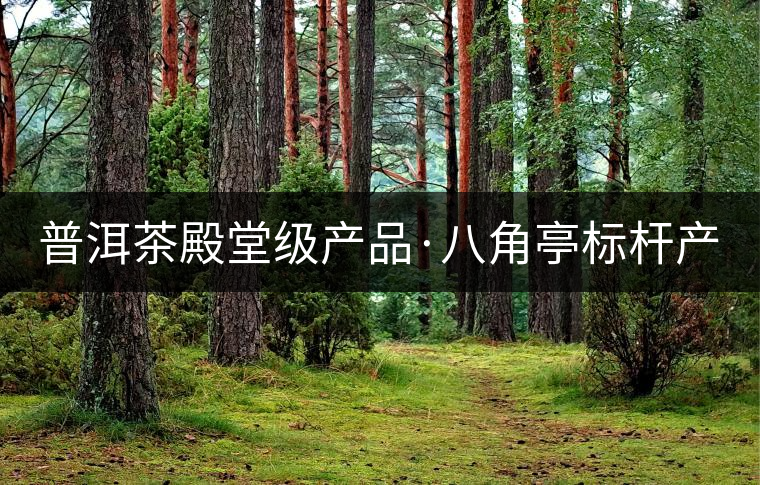 普洱茶殿堂級產(chǎn)品·八角亭標桿產(chǎn)品〡早春銀毫（建國66周年紀念版）摯熱上市