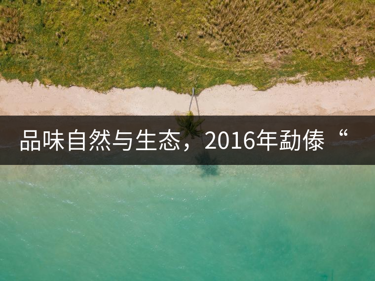 品味自然與生態(tài)，2016年勐傣“大雪山古樹茶”