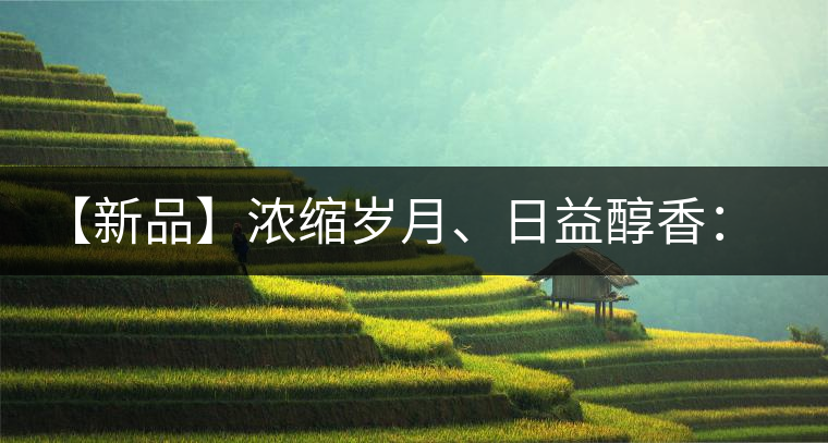 【新品】濃縮歲月、日益醇香：陳臻號陳品熟餅即將上市！
