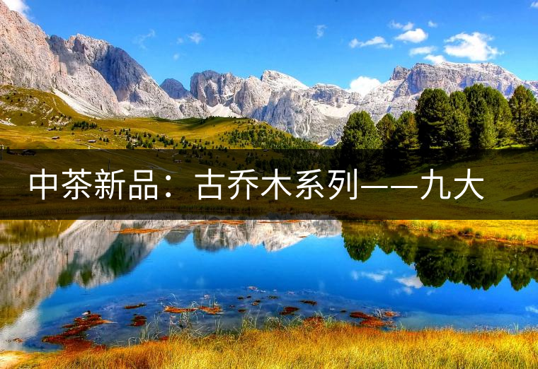 中茶新品:古喬木系列——九大茗山古茶集 中茶新品:古喬木系列——九大茗山古茶集