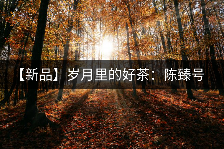 【新品】歲月里的好茶：陳臻號臻品青餅即將上市！