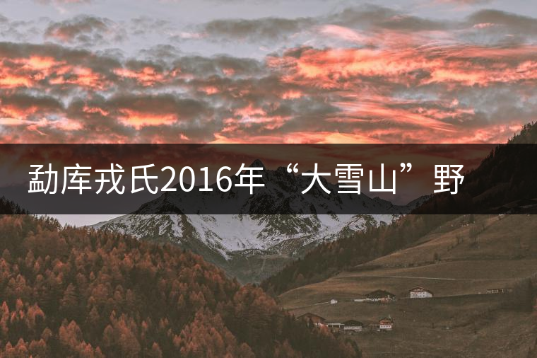 勐庫(kù)戎氏2016年“大雪山”野生茶清新問(wèn)世