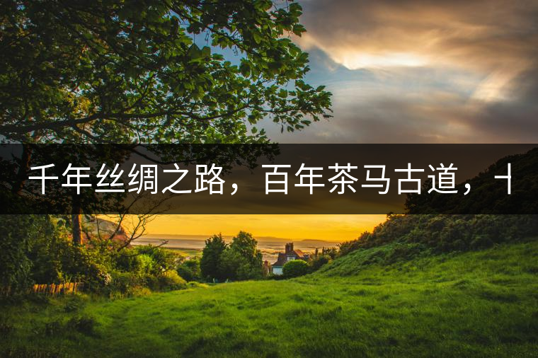 千年絲綢之路，百年茶馬古道，十年尋茶之旅，鑄造Puertea（十年紀(jì)念茶）