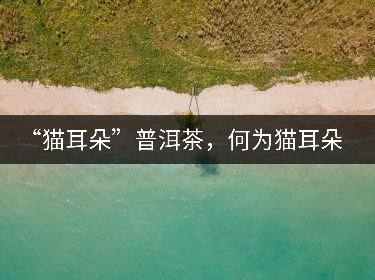“貓耳朵”普洱茶，何為貓耳朵？