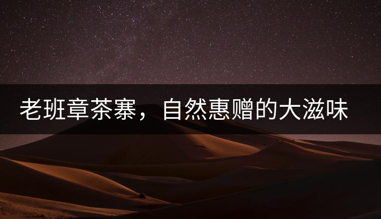 老班章茶寨，自然惠贈(zèng)的大滋味，大滿足
