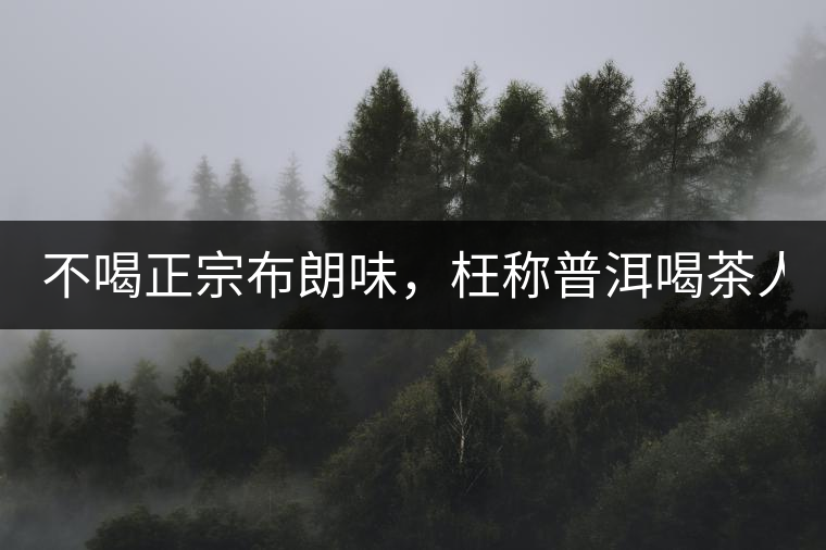 不喝正宗布朗味，枉稱(chēng)普洱喝茶人！