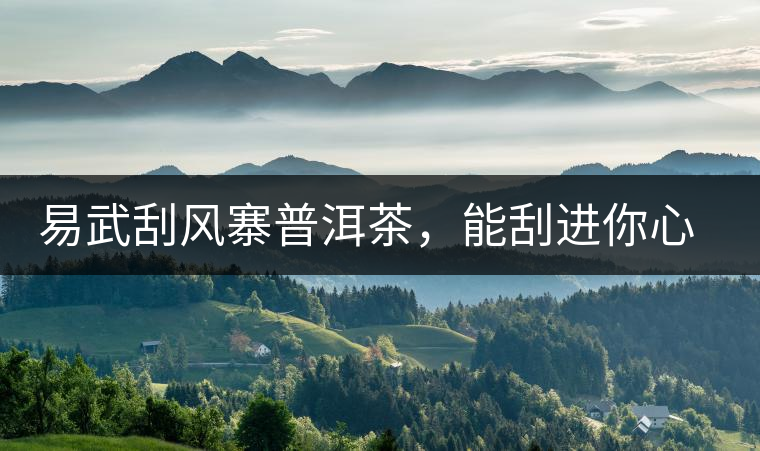 易武刮風(fēng)寨普洱茶，能刮進(jìn)你心中的一道風(fēng)