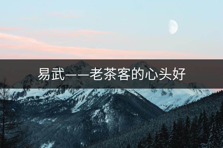 易武——老茶客的心頭好