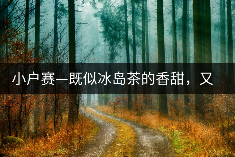 小戶賽—既似冰島茶的香甜，又有其獨特的純和凈