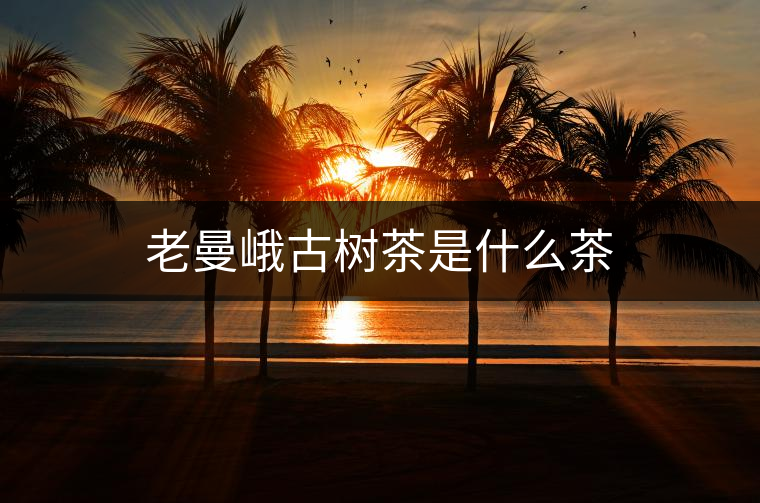 老曼峨古樹茶是什么茶