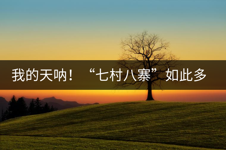 我的天吶！“七村八寨”如此多的易武茶，品質(zhì)特色如何分辨？
