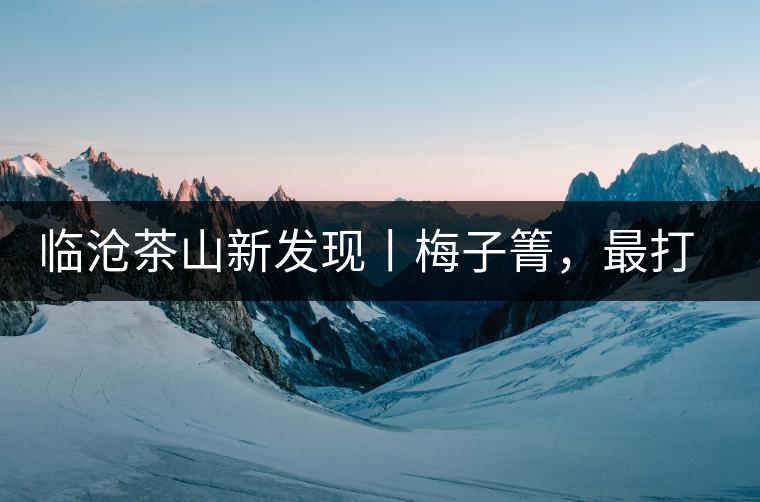 臨滄茶山新發(fā)現(xiàn)丨梅子箐，最打動自己的茶山