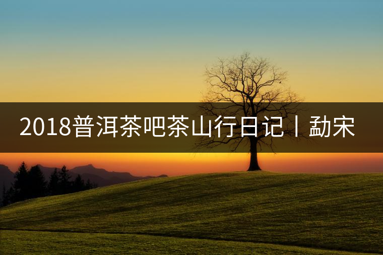 2018普洱茶吧茶山行日記丨勐宋那卡古茶園(二)