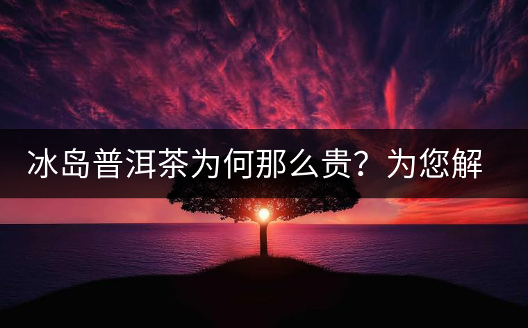 冰島普洱茶為何那么貴？為您解析其中的原由