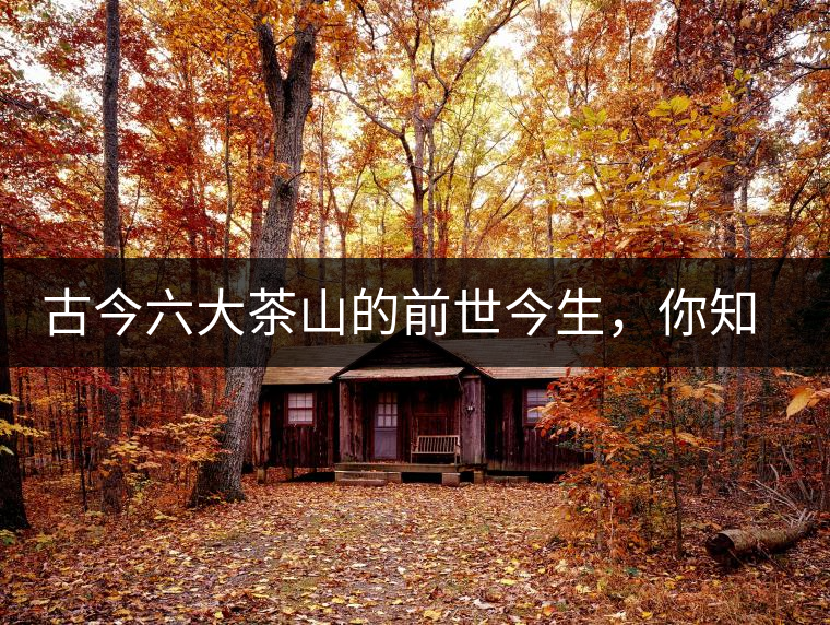 古今六大茶山的前世今生，你知多少？