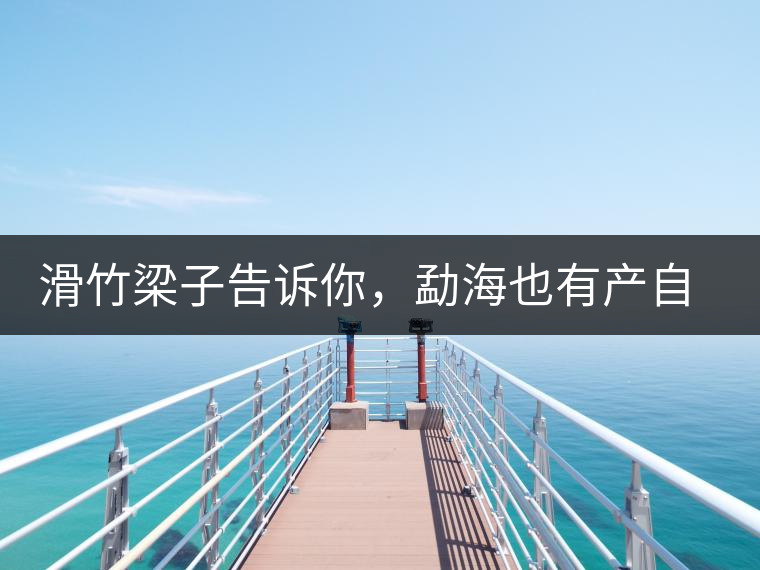 滑竹梁子告訴你，勐海也有產(chǎn)自國(guó)有林里的好茶！