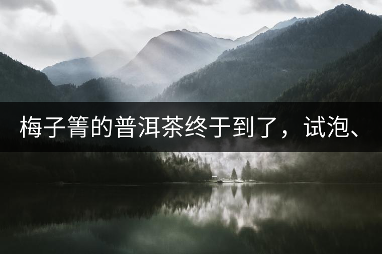 梅子箐的普洱茶終于到了，試泡、、、