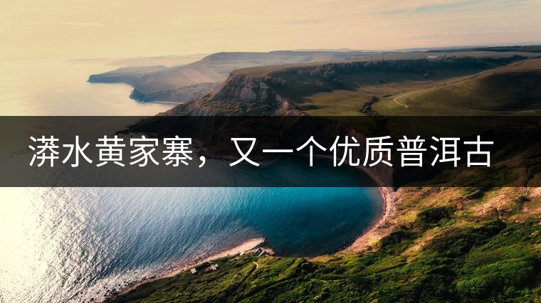 漭水黃家寨，又一個優(yōu)質(zhì)普洱古樹群落
