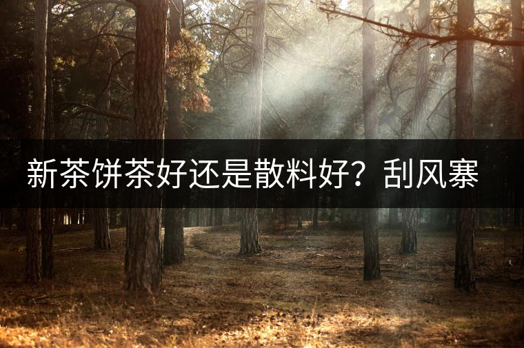 新茶餅茶好還是散料好？刮風(fēng)寨開湯評(píng)測(cè)