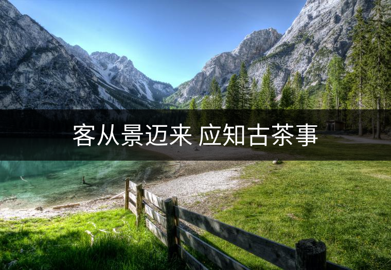 客從景邁來 應(yīng)知古茶事 客從景邁來 應(yīng)知古茶事